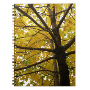 Paar Gele Esdoornbomen Herfst Natuur Notitieboek
