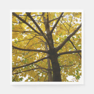 Paar Gele Esdoorns Herfst Natuur Servet