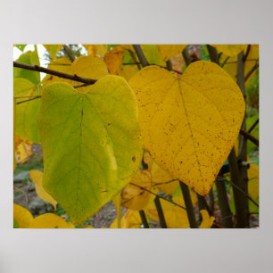 Paar herfst Rode Knop bladeren Herfst fotografie Poster