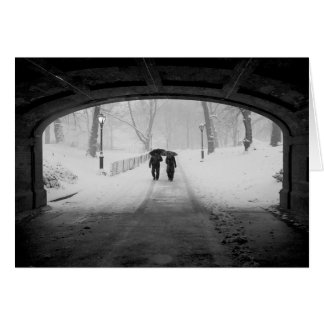 Paar in Snowstorm, Central Park