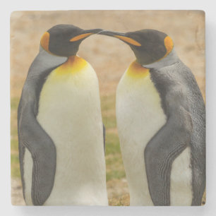 Paar koningspinguïns, Falklandeilanden Stenen Onderzetter