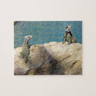 Paar Leguanen Tropische Natuurfotografie Legpuzzel