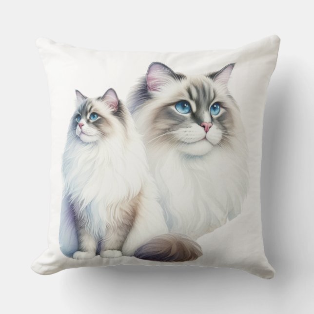 PAAR MOOIE PLUIZIGE RAGDOLL KATTEN KUSSEN (Voorkant)