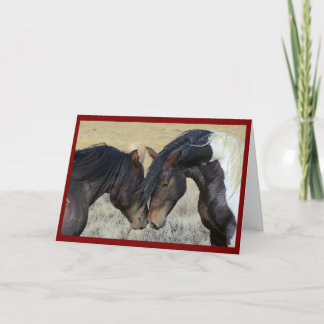 Paar Paarden Huwelijkskaart Kaart