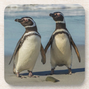 Paar pinguïns op het strand bier onderzetter