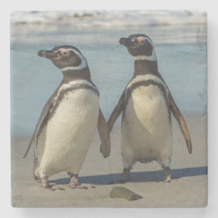Paar pinguïns op het strand stenen onderzetter