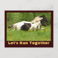 Paar Pintos Briefkaarten