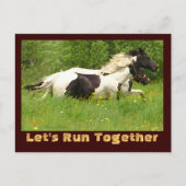 Paar Pintos Briefkaarten (Voorkant)