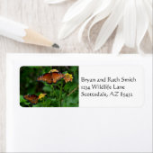 Paar Queen Butterflies retouradres label (Insitu)