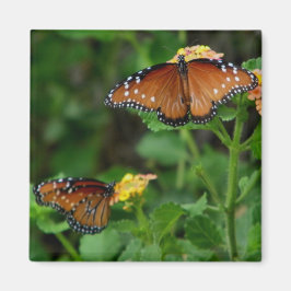 Paar Queen Vlinders magneet