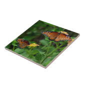 Paar Queen Vlinders Tegeltje (Zijkant)