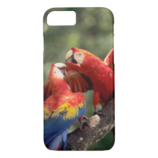 Paar Scarlet Macaws Case-Mate iPhone Case (Achterkant)