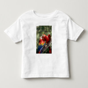 Paar scharlaken ara's kinder shirts
