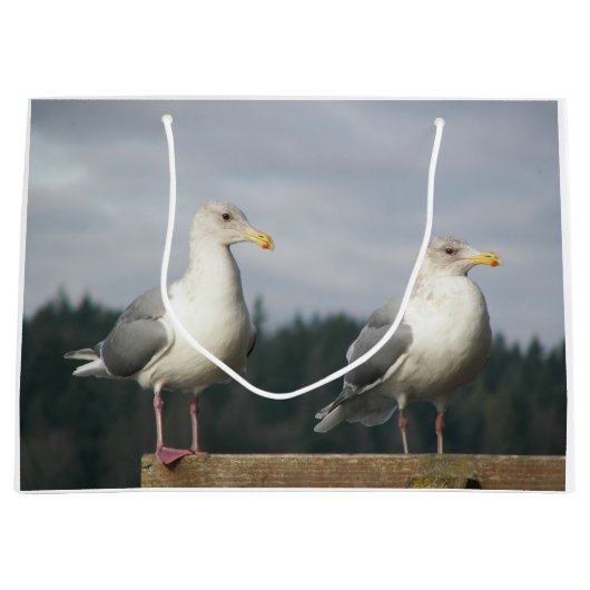 Paar Seagulls Posing op Fence Large Cadeauzakje (Voorkant)