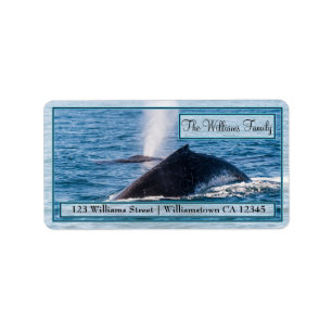 Paar van Adresetiketten van Humpback Whales Etiket