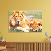 Paar van Afrikaanse Lion, Panthera leo, Tanzania Canvas Afdruk (Insitu (Woonkamer))