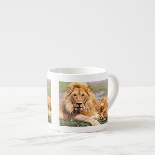 Paar van Afrikaanse Lion, Panthera leo, Tanzania Espresso Kop (Voorkant rechts)