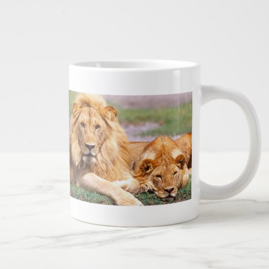 Paar van Afrikaanse Lion, Panthera leo, Tanzania Jumbo Mok (Rechts)