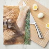 Paar van Afrikaanse Lion, Panthera leo, Tanzania Theedoek (Quarter Fold)