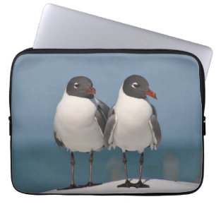 Paar van Black Headed Gulls Laptop Sleeve