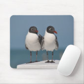 Paar van Black Headed Gulls Muismat (Met muis)