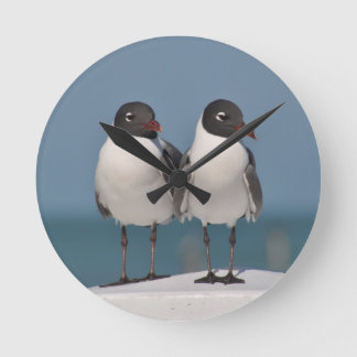 Paar van Black Headed Gulls Ronde Klok