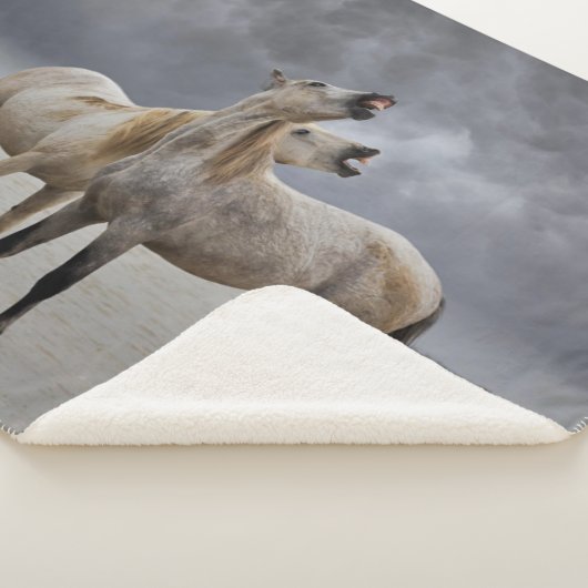 Paar van Camargue Horse Stallions, Zuid-Frankrijk Sherpa Deken (3/4)