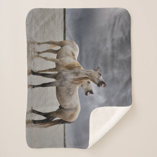 Paar van Camargue Horse Stallions, Zuid-Frankrijk Sherpa Deken (Voorkant)