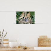Paar van Cedar Waxwings met jonge Poster (Keuken)