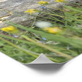 Paar van Cute Wolf Cubs Poster (Hoek)