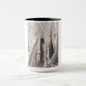 Paar van Cypress Mok (Midden)