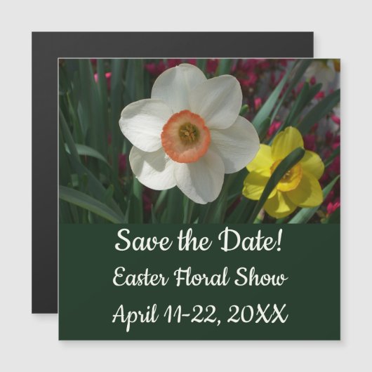 Paar van Daffodils Roze en Gele Lentbloemen (Voorkant / Achterkant)