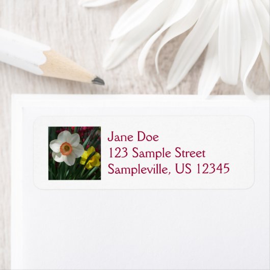 Paar van Daffodils Roze en Gele Lentbloemen Etiket (Insitu)