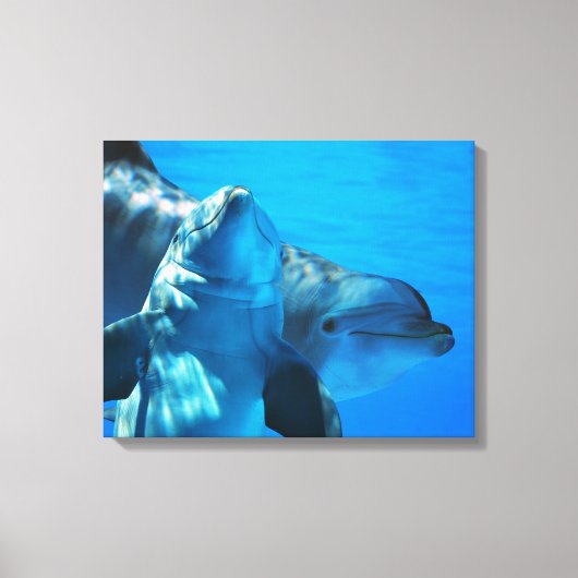 Paar van de Afbeelding van de Curieuze Dolphins Ga Canvas Afdruk (Voorkant)