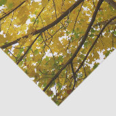 Paar van de Natuur van de herfst van de Gele Maple Tissuepapier (Detail)