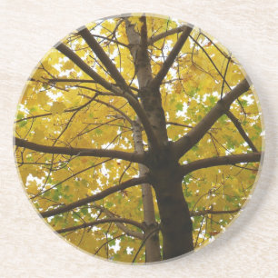 Paar van de Natuur van de herfst van de Gele Maple Zandsteen Onderzetter