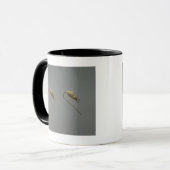 Paar van goudoorbellen, Liao Dynasty Mok (Voorkant links)