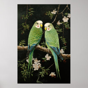 Paar van Groene Budgerigars Poster