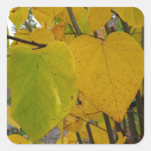 Paar van Herfst Redbud laat de herfst Fotografie Vierkante Sticker