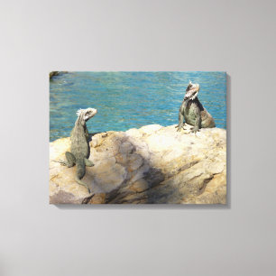 Paar van Iguanas Tropical Wildlife Photography Canvas Afdruk