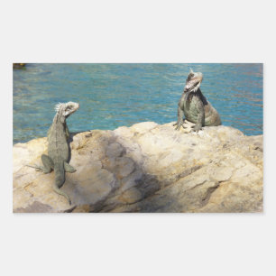 Paar van Iguanas Tropical Wildlife Photography Rechthoekige Sticker
