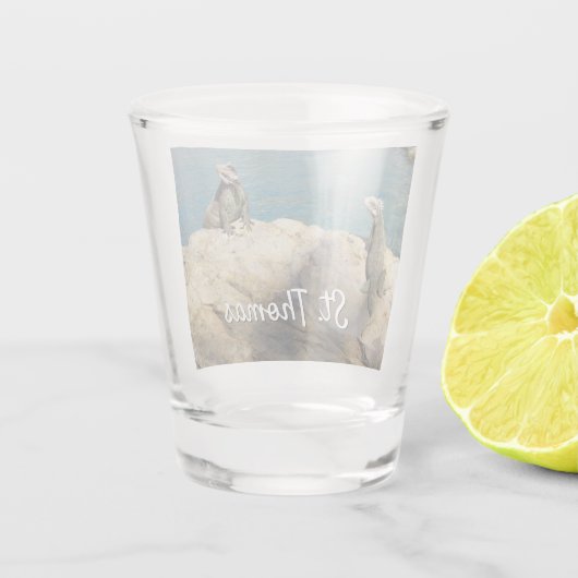 Paar van Iguanas Tropical Wildlife Photography Shot Glas (Achterkant)