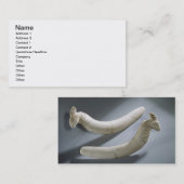 Paar van kastanjes, dunne periode (hippopotamus iv visitekaartje (Voorkant / Achterkant)