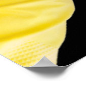 Paar van latexhandschoenen poster (Hoek)