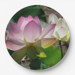 Paar van Lotus Flowers I Papieren Bordje