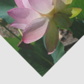 Paar van Lotus Flowers I Tissuepapier (Detail)