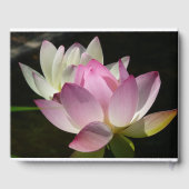 Paar van Lotus Flowers II Gastenboek (Achterkant)