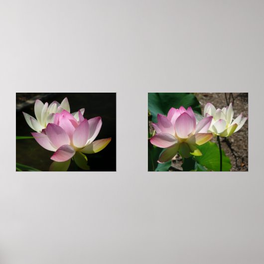 Paar van Lotus Flowers II Muurkunst Sets (Voorkant)