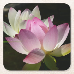 Paar van Lotus Flowers II Vierkante Kartonnen Onderzetter