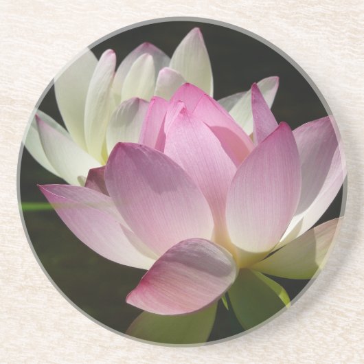 Paar van Lotus Flowers II Zandsteen Onderzetter (Voorkant)
